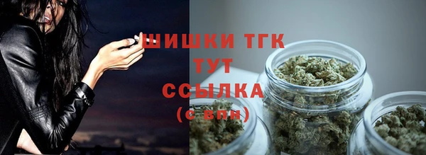 стаф Абдулино