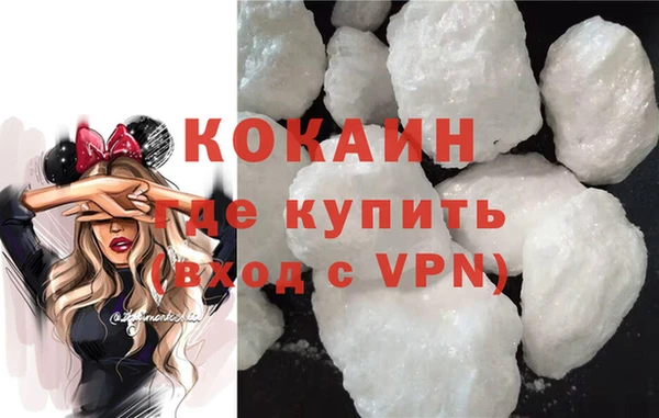 прущие грибы Наволоки